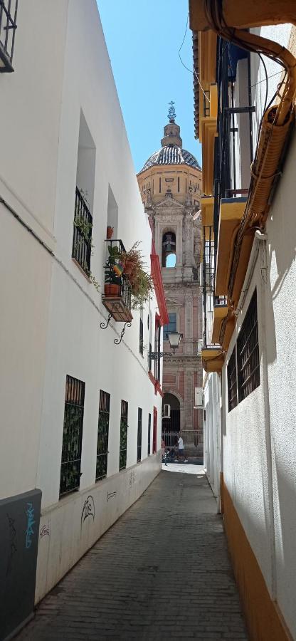 Apartamento Casco Historico Con Atico. Lägenhet Sevilla Exteriör bild